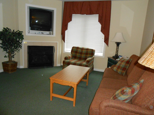 The Living Room area of the condo 508B