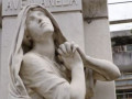 A Profusion of Angels