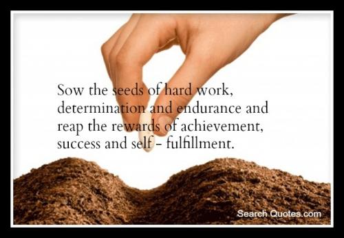 Sow the seeds of determination