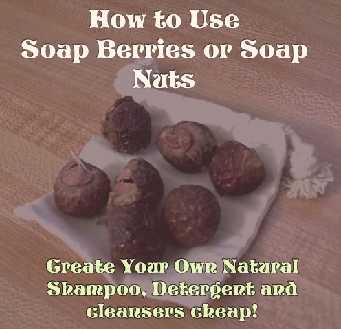 How to Use Soap Berries or Soap Nuts How to Use Soap Berries or Soap Nuts
