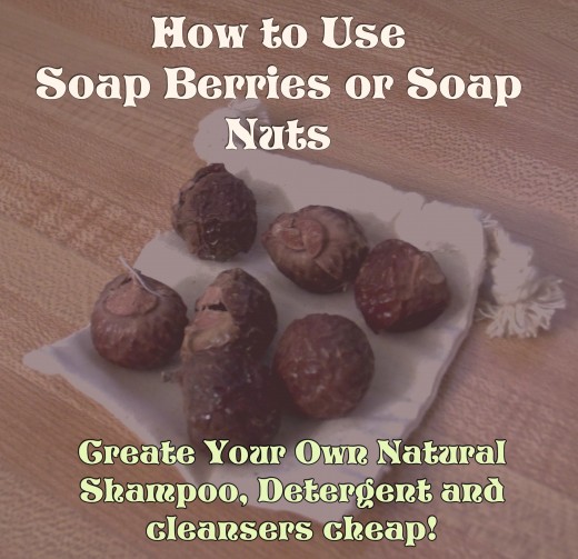 How to Use Soap Berries or Soap Nuts Dengarden