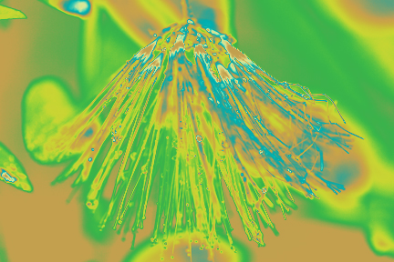 after using image adjustment gradient map