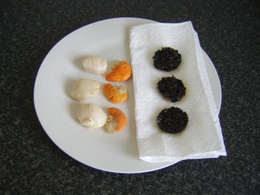 Cooked scallops and black pudding