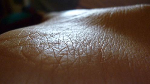 Macro shot of skin using the zoom function.