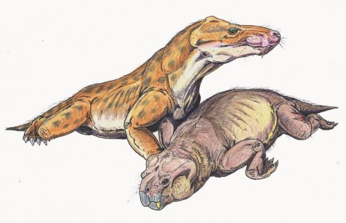 Euchambersia feeding on a dicynodont.