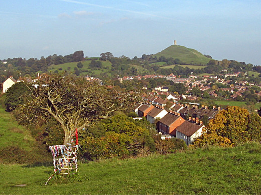 Glastonbury Holy Thorn -