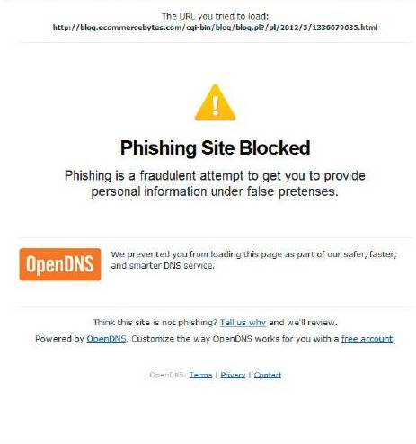 Anti-phishing tools can help protect you by keeping your Web browser from accessing suspect websites.