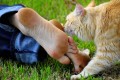 How to Get Rid of Smelly Feet Quickly