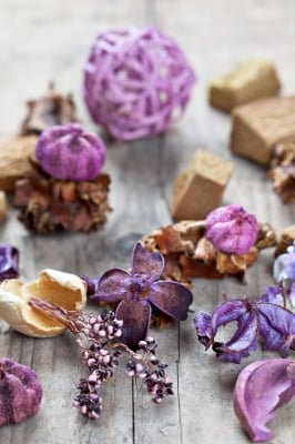 room freshener idea with potpourri