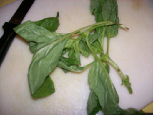 Snipped Basil in Small Plastic Container