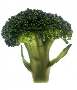 https://usercontent2.hubstatic.com/8239973_f260.jpg