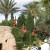 Holy Land Experience Holy Land Experience