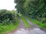 This is the actual lane leading to Mamgu's farm.