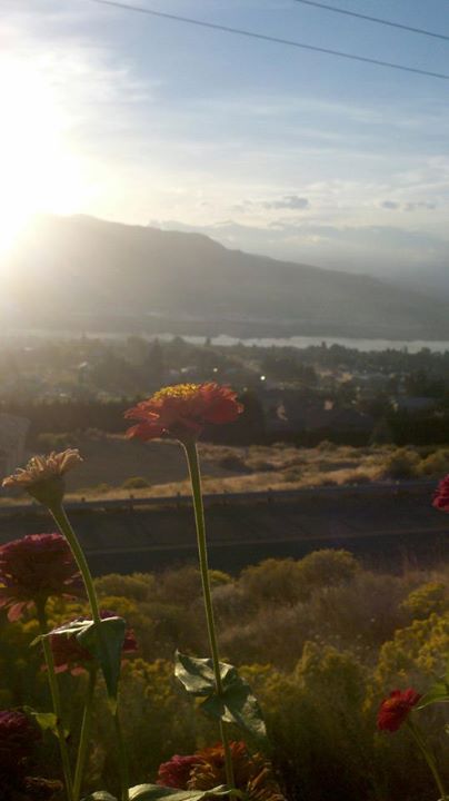 Wenatchee has so much beauty to enjoy, it's no wonder the top things to do include scenic views.