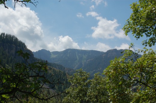 Wasatch MountainsUinta-Wasatch-Cache National Forest, Mount Naomi Wilderness