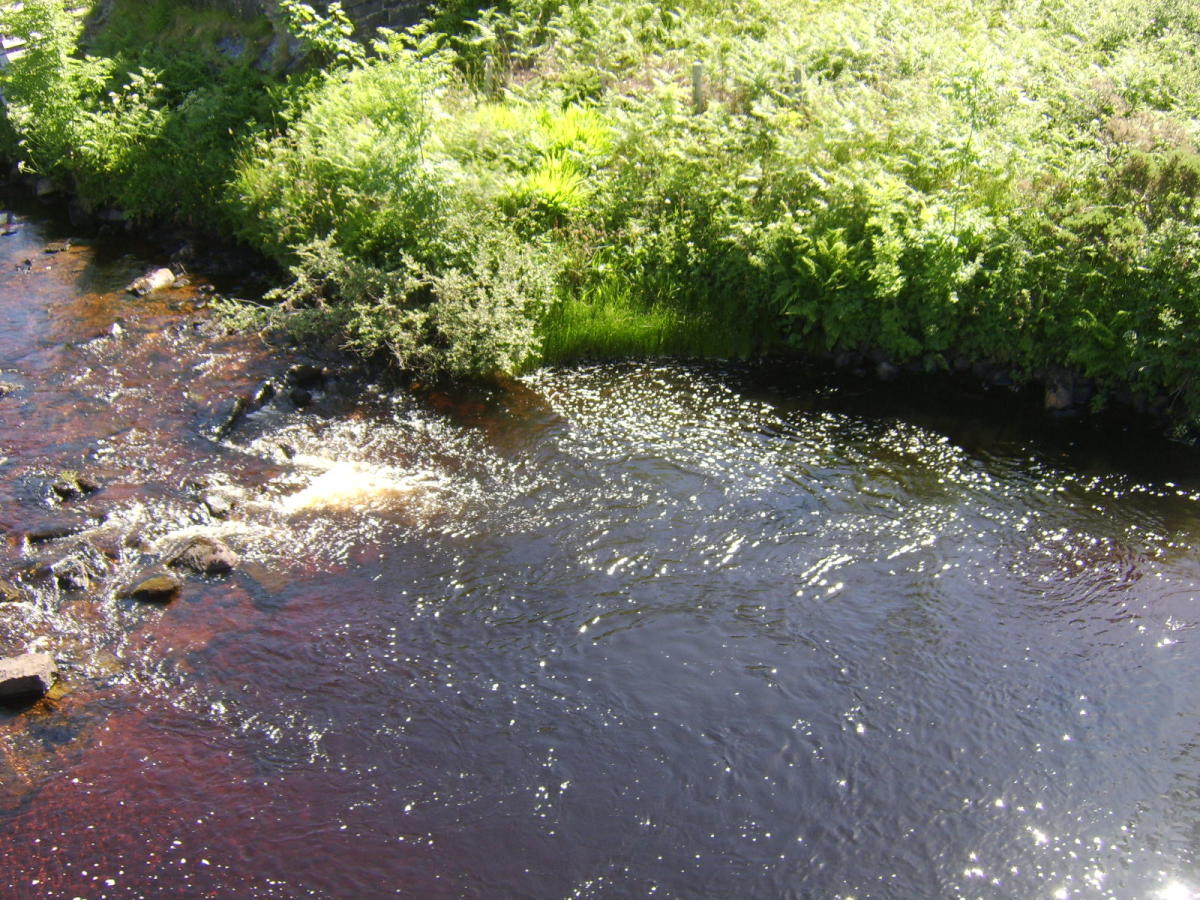The peaty water of the River Laggan, Islay