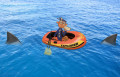 4 Deadly Supervisor Types or:  Navigating the Shark Infested Waters in an Inflatable Boat