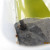 Another view of our first little frog. Another view of our first little frog.