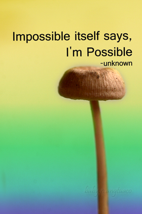ordinary mushroom photo converted into a photocard