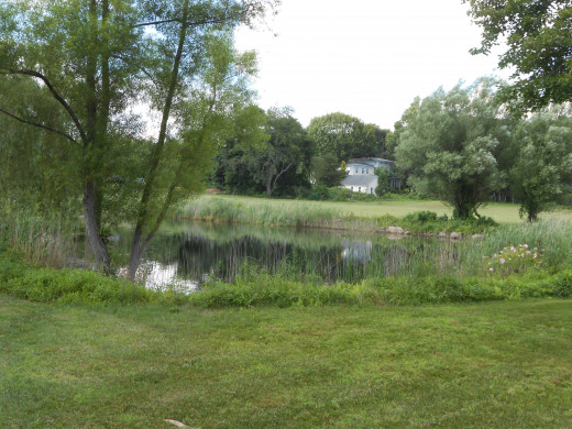 A peaceful pond in CT