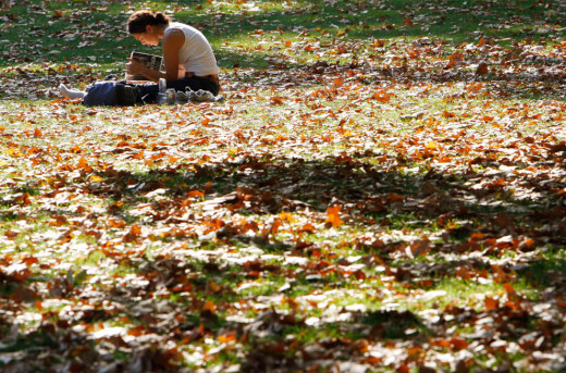 In England, girl sitting amongst the Autumn leaves as she reads.