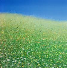 Buttercup and Daisy meadows.