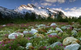 Those snow peaked  mountains of life.