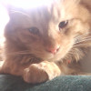 Magnit7 profile image
