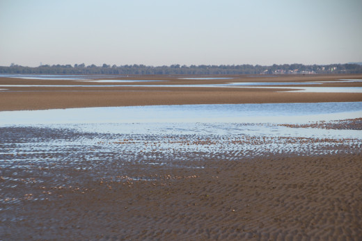 Beach at low tide