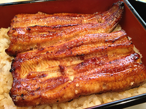 Unagi (eel) served with rice