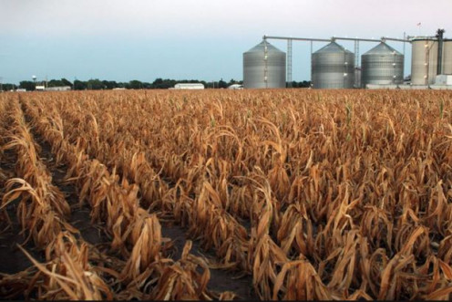 Eventually farming would collapse crippling  food production. 