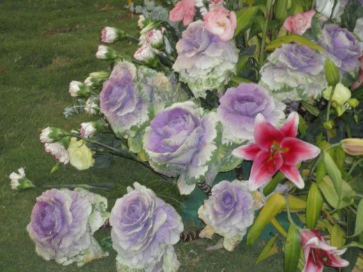 Exotic violet Roses at display