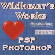 wildheart4vr profile image