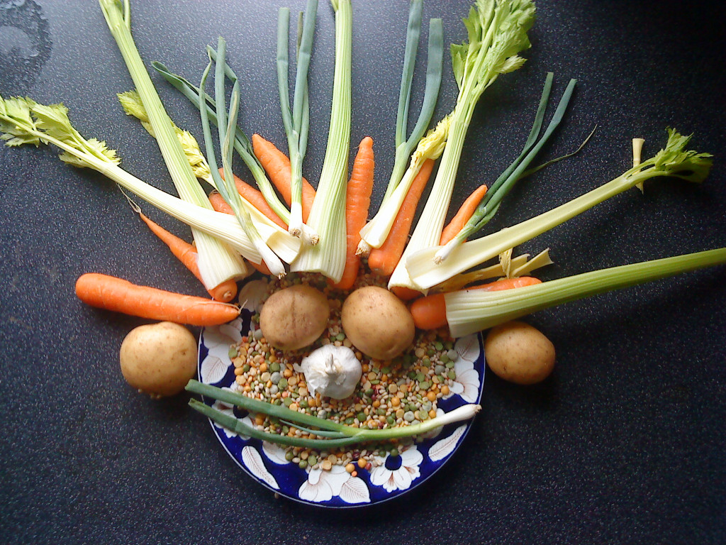 Healthy Vegetarian Stew Recipe with Herb Dumplings HubPages