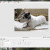 This is how the image looks after I have gone to my photo editing software and used the CTRL and V option to pste it This is how the image looks after I have gone to my photo editing software and used the CTRL and V option to pste it