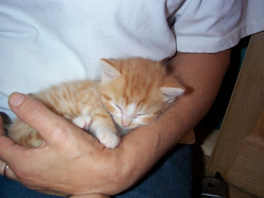 Around 14 days old, Zeke slept alot