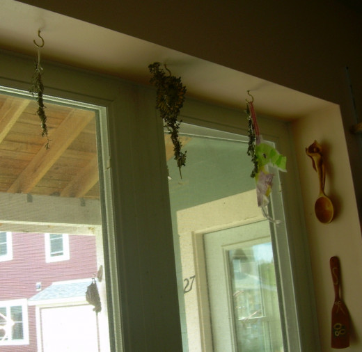 Herbs drying on hooks in my kitchen windowsill ~ mint, oregano, and thyme