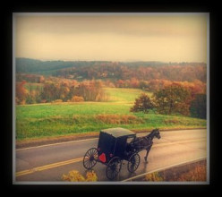 The Amish:   A Special Report