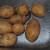 Choose your potatoes. Choose your potatoes.