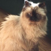 Aubree's Grandma profile image
