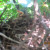 My first peek at a baby bird in the nest. My first peek at a baby bird in the nest.