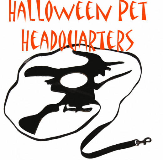 for Halloween dress up
