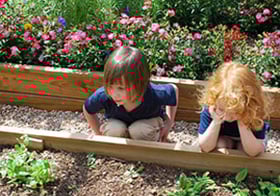 Children learning about gardening at the Bee Cave Montessori school in Austin, Texas