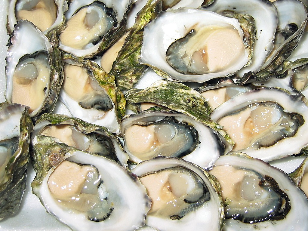 How to Eat Raw Oysters