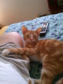 Why You Wake Me Up?