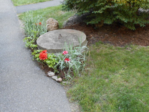 The same tank with chasmanthium , pachysandra and eye-popping orange zinnias.