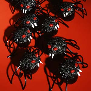 Spooky Spiders