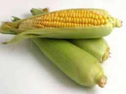 Health Benefits of Sweet Corn