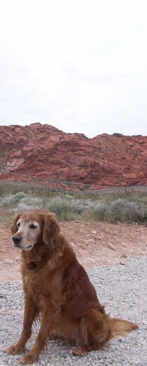 Brandi at Red Rock enjoying a hike.