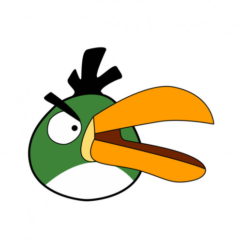 The Green "Boomerang" Bird
